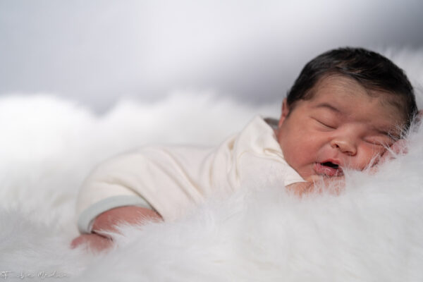 Baby photography Tribe Media
